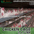 layer poultry cage for chicken cage